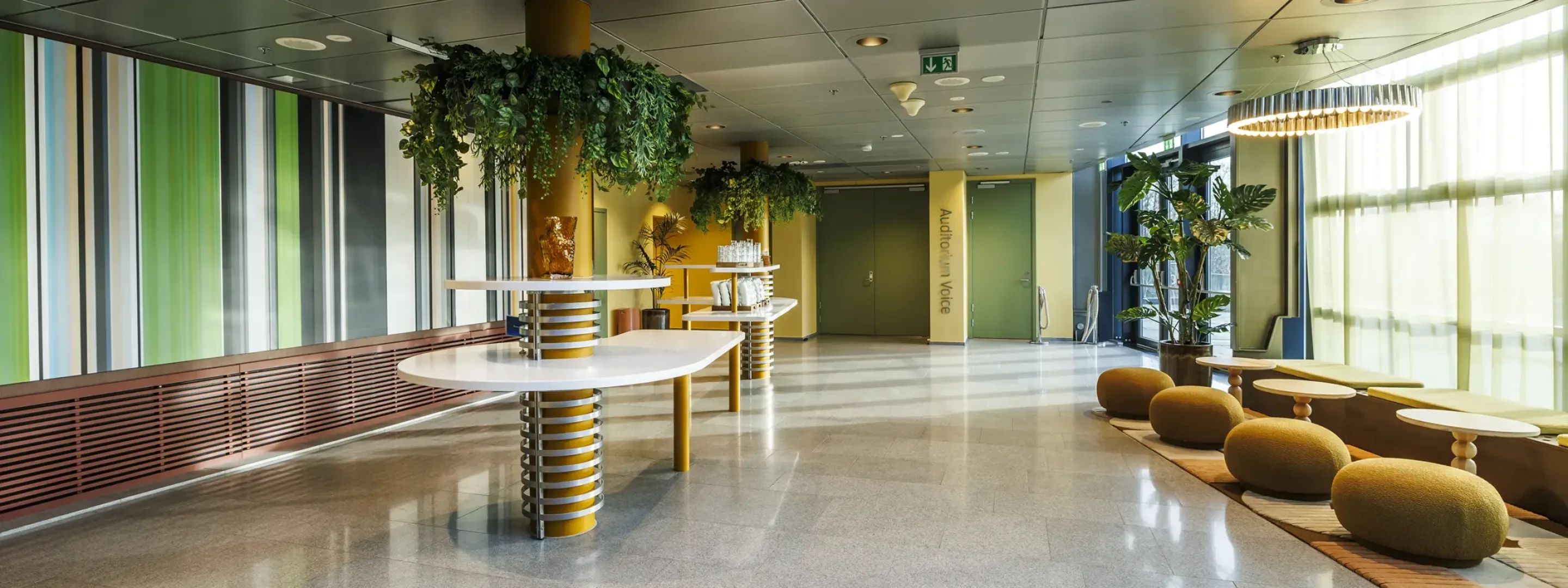 Surroundings/Common Areas
