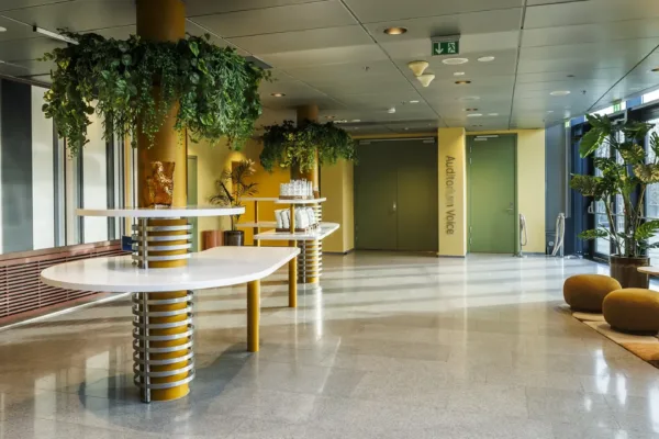 Surroundings/Common Areas